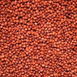 Sorgo Vermelho Saca de 50 Kg