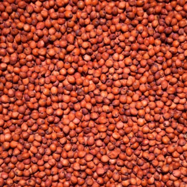 Sorgo Vermelho Saca de 50 Kg