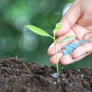Fertilizantes