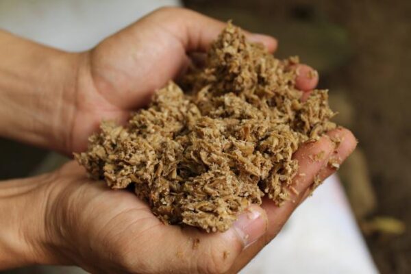 Polpa De Cevada 27% Proteína Ensacada 50 Kg