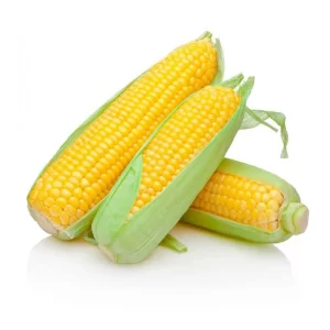 Milho Verde Saco 50 espigas (consumo humano)